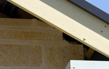 soffit repair Scone